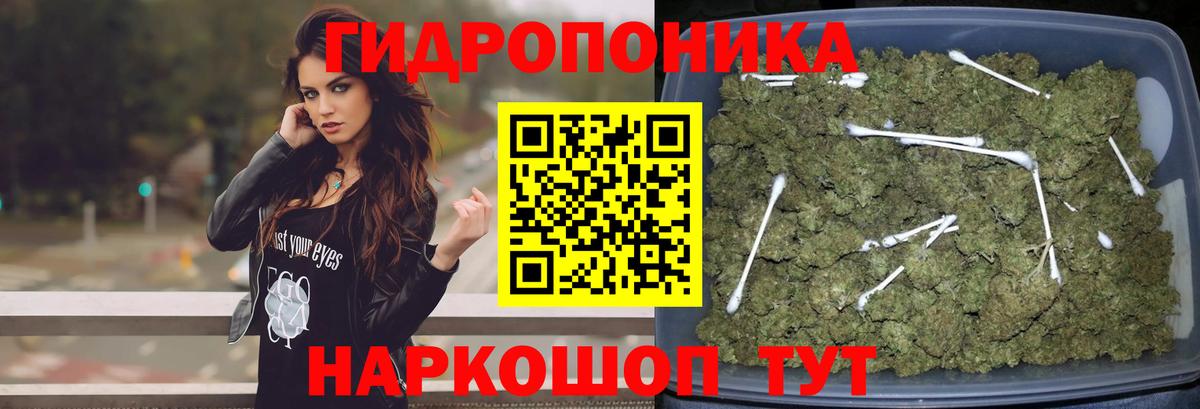МАРИХУАНА семена  Конопля Amnesia  Вход с VPN  МАРИХУАНА гибрид  Зеленогорск  Бошки марихуана семена 
